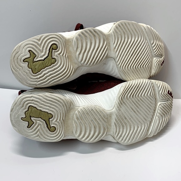 Rare 🔥 Nike LeBron 16 “King” Shoes - Picture 15 of 16